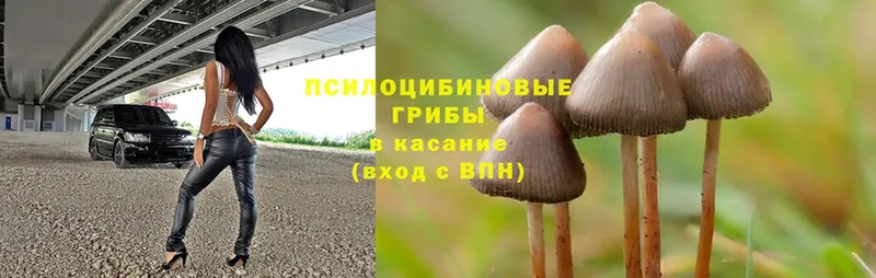 Галлюциногенные грибы MAGIC MUSHROOMS  мориарти состав  Татарск  omg сайт 